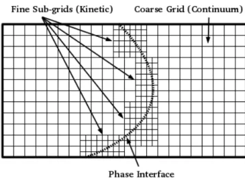 Figure 1.7: Adaptive mesh refinement hones in on phase interface