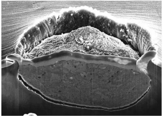 Figure 1.8: Crossection of a copper particle embedded in an Al 7050 substrate [4]