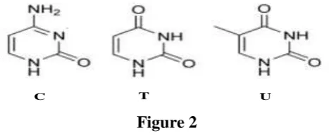  Figure 2 1.2 Hydrazone: An organic compounds having structure of R