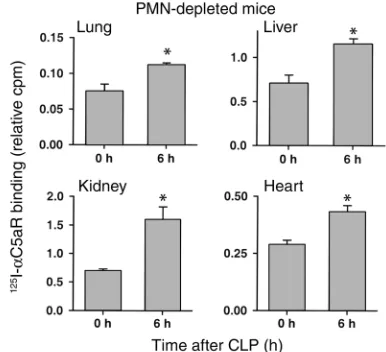 Figure 1b shows binding results from 125mice. No significant changes in 6 and 12 hours after CLP, when compared with the organ could be observed 6 and 12 hours after CLP whencompared with binding at 0 hours