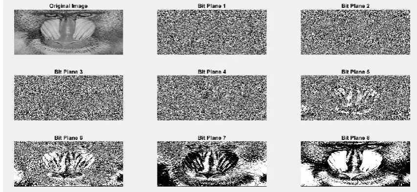 Fig. 1: Original image and different bit planes of an 8-bit grayscale image (baboon) taken from SIPI database image is 64*64 pixel 8-bit grayscale image, then the total number of secret bits will be 64*64*8