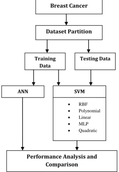 Fig -1: Breast cancer classification model 
