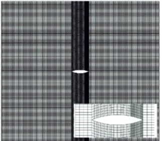 Fig. 4. Mesh for 2D laminar ﬂows – 160around the proﬁle in the lower left corner and grid detail near the × 160 cells (grid detailtrailing edge in the lower right corner).