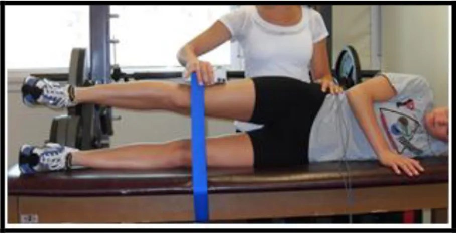 Figure 2. Isometric Hip Strength Test 