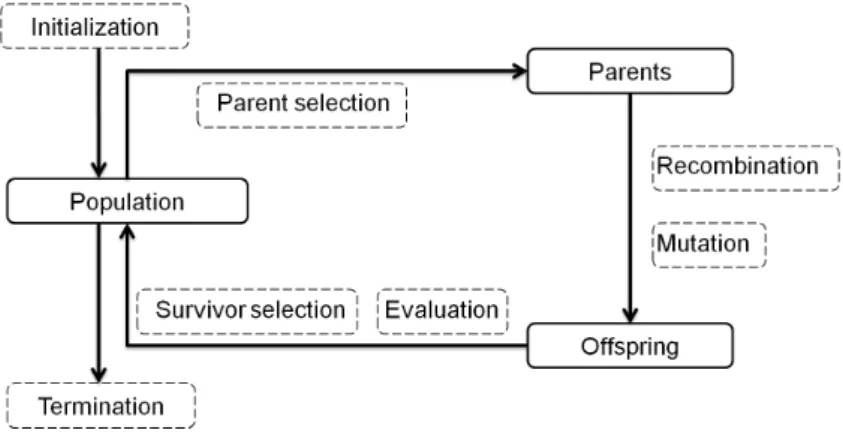 Figure 4.1: The iteration cycle of an Evolutionary Algorithm.