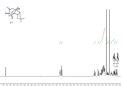 Figure 4.10: 101 MHz 13C NMR spectrum of compound 177 (recorded in CDCl3). 