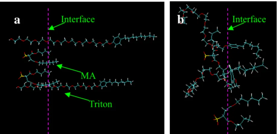 Figure 3.13 MA and Triton molecules at interfaces. Color scheme: yellow, head part of MA; red  chain, head part of Triton;   