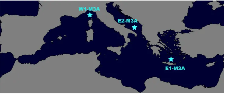 Fig. 1. Location of the M3A moorings in the Mediterranean Sea.