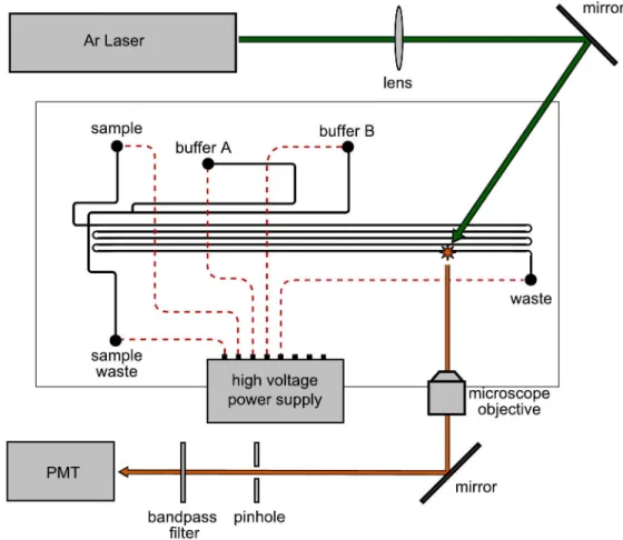 Figure 2-4.  The schematic for the complete gradient elution CEC-LIF setup. 