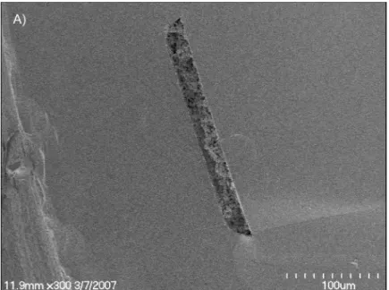 Figure 2-5.  SEM images of a microchannel cross-section filled with the monolith  material
