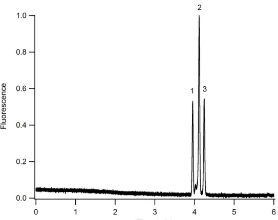 Figure 2-6.  CEC separation of peptides under isocratic conditions.  Mobile phase: 
