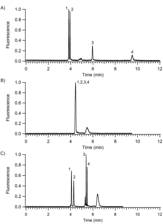 Figure 2-9.  Isocratic and gradient elution CEC separations of peptides.  Mobile  phase: 10 mM sodium phosphate, pH 7 with A) 25% acetonitrile, B) 50% 