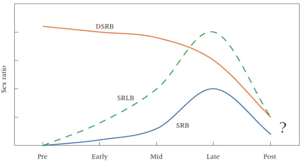 Figure 1: Expected patterns of sex ratios over the course of the transition in son  preference 