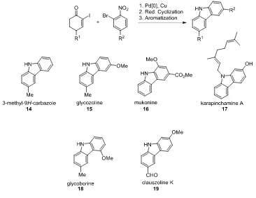 Figure 3: Members of the Uleine Alkaloid Family Accessible Using the Palladium-Catalyzed Ullmann 