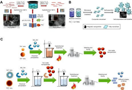 Figure 1 Different synthesis routes of MHAp nanostructures. Schematic illustration of (A) formation mechanism of one-dimensional MHAp nanorods, (B) synthesis of ultrathin MHAp nanosheet (HAPUN/MNs), and (C) chemical precipitation and hydrothermal synthesis