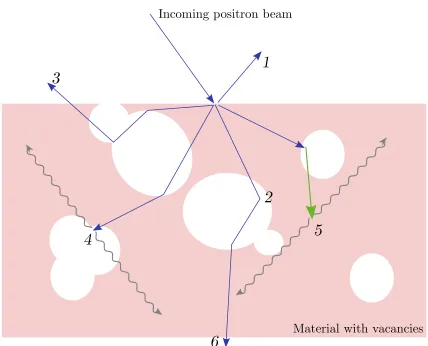 Figure 2.5: Cartoon of the interactions of positrons from an incoming beam source. Num-bers reference processes detailed in the text.
