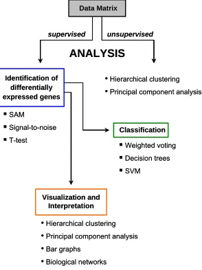 Figure 6. Overview about the data analysis workflow. After preparation of corresponding data sets from the main master table the data was analyzed either unsupervised or supervised