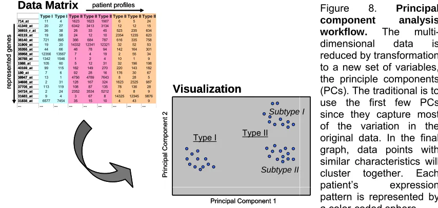 Figure 8. Principal component analysis workflow. The multi-dimensional data is reduced by transformation to a new set of variables, the principle components (PCs)