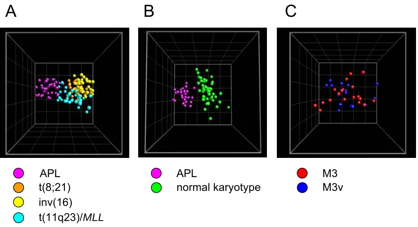 Figure 23. PCA based on genes from the GO category blood coagulation. The three-dimensional PCA feature space visualizes measured U133 set expression data on genes from the Gene Ontology Biological Process category blood coagulation (accession number GO:00