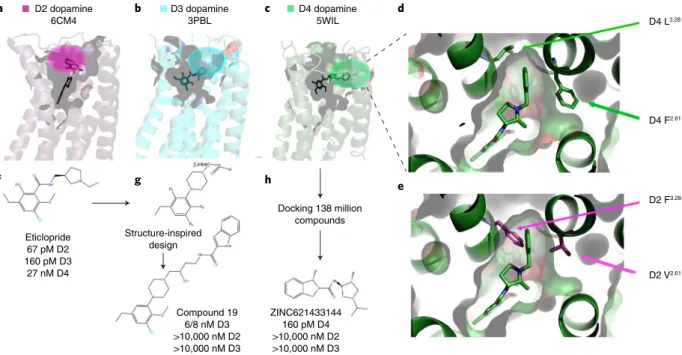 Figure  5d shows a more detailed view of the D4 selectivity filter,  while Fig. 5e shows how this is occluded in the D2 receptor 34 