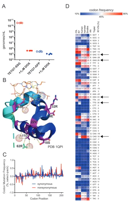 Figure S2. Directed Evolution of Transcription Factors with Sindbis, Related to Figure 2