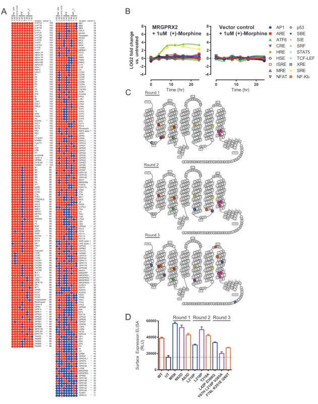 Figure S3. VEGAS for the Evolution of GPCRs, Related to Figure 3