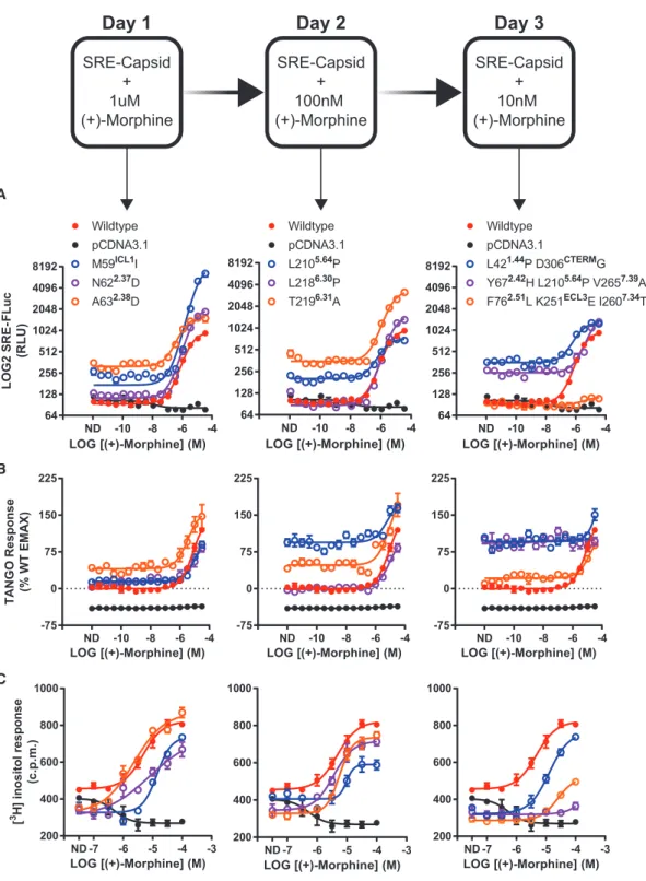 Figure 3. VEGAS for the Evolution of GPCRs