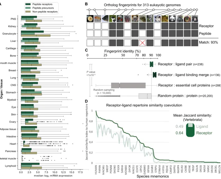 Figure S2. The Peptidergic Signaling System Has Been Shaped by Co-evolution of Ligands and Their Receptor Targets, Related to Figure 1 (A) Receptors and their ligands are ubiquitously expressed in human organs and tissues