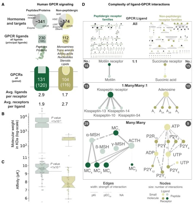 Figure 1. The Human G Protein-Coupled Receptor-Ligand System