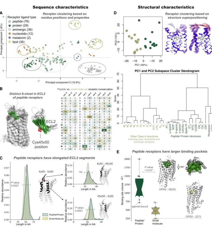 Figure 3. Peptide Receptors Share Distinct Sequence and Structural Characteristics