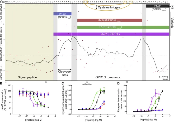 Table S7). We demonstrated that GPR15 is G i/o -coupled because this peptide reduced cyclic AMP (cAMP) production (pEC 50 , 6.72 ± 0.13)