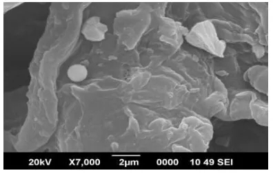 Figure 4.SEM-EDS for waste ldpe under X7000  magnification range 