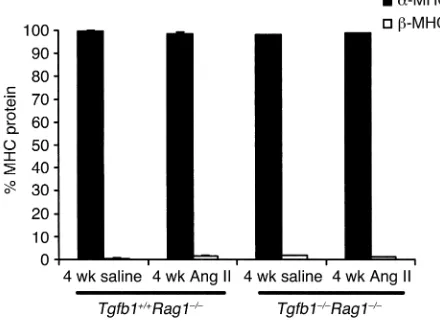 Figure 50.10 ± 0.03 mmol/day vs. 4-week saline 0.08 ± 0.03mmol/day vs. 4-week Ang II 0.05 ± 0.02 mmol/day) asExpression pattern of MHC protein levels in saline- and Ang II–treat- 