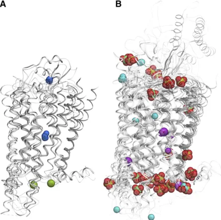 Fig. 1. Ions identified in GPCR crystal structures. (A) Monovalent ions: Na 1 (blue) and Cl 2 (green)