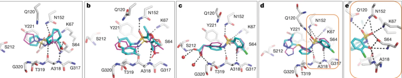 Fig. 2 | Structural fidelity between docked-predicted and  crystallographically determined poses of the new β-lactamase  inhibitors