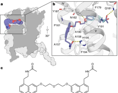 Fig. 2 | Ligand recognition at MT 1 . a, Ramelteon (purple) forms specific  interactions with side chains of N162 4.60  and Q181 ECL2  of MT 1  (green), and  stacks with F179 ECL2  (all side chains shown as green sticks)