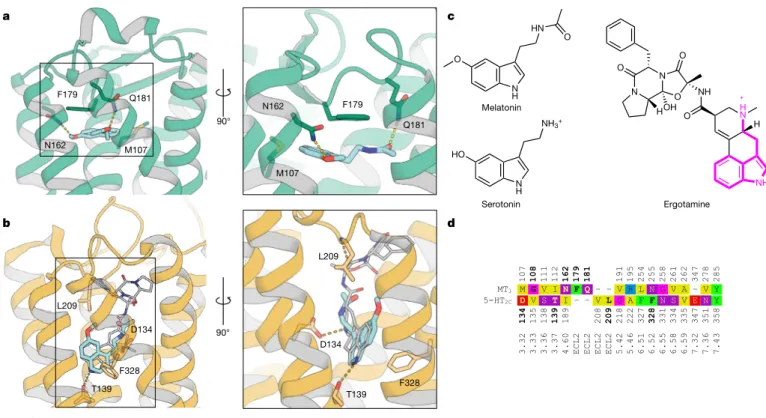 Fig. 4d). A key question is how these receptor families evolved to  bind structurally similar endogenous molecules while maintaining  orthogonal functions
