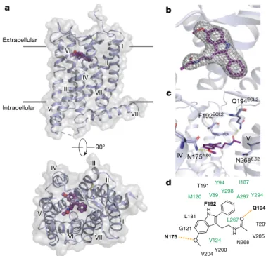 Fig. 1 | Overview of the MT 2  structure. a, Overview of MT 2  (violet)   shows the canonical 7TM topology, with the ligand 2-PMT (purple) in   the binding pocket