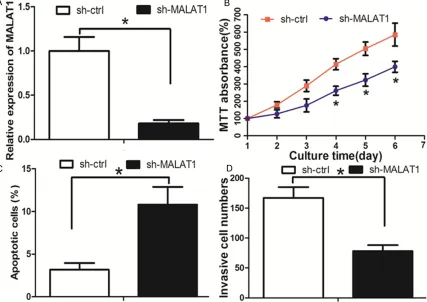 Figure 1. A: MALAT1 was upregulated in TNBC tissues compared with their adjacent normal breast tissues
