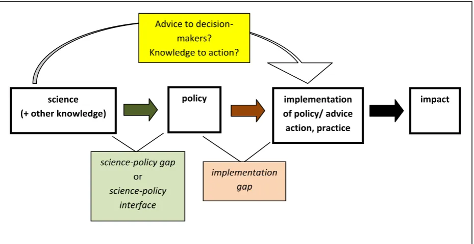 Figure 1: Diagrammatic representation of how science informs policy based on key terms used in the science-policy gap and related discourses