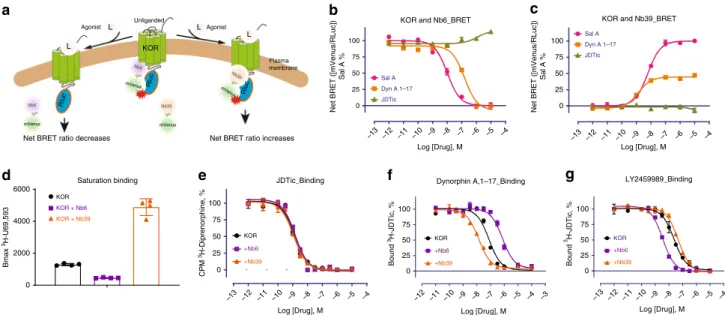 Fig. 1 Molecular pharmacology of Nb6 and Nb39. a Schematic of Nb6 and Nb39 interaction with KOR in BRET-based assay