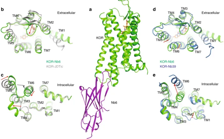 Fig. 2 Overall alignment of KOR –Nb6 and KOR–JDTic and KOR–Nb39 structures. a Overall architecture of KOR–JDTic–Nb6 complex