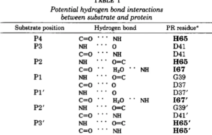FIG. 3.  Modeled  substrate. Substrate residues  P4  to  P3’  from  the  model  based  on  the  co-crystal  structures  of  HIV-1  PR  with  inhibitors
