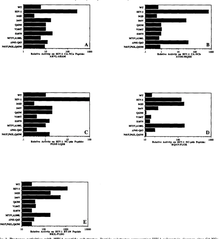 FIG.  3.  Protease activities with  HlV-1  peptide  substrates.  Peptide  substrates representing  HIV-1 polyprotein  cleavage  sites CA-NCa  (PARVL-AEAMRR) (panel A ) ,  CA-NCb (PATIM-MQRERR) (panel  B ) ,   NC-p6a  (PGNF-LQSRR) (panel  C ) ,   NC-p6b  (P