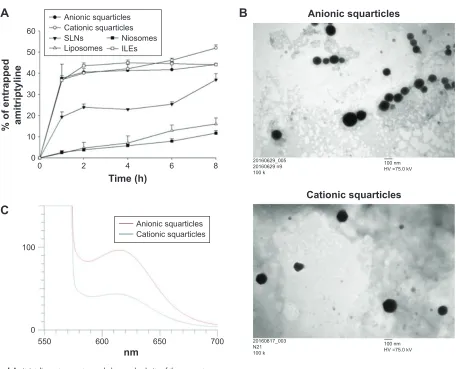 Figure 1 amitriptyline entrapment, morphology, and polarity of the nanosystems.Notes: (A) amitriptyline entrapment percentage into the nanosystems as a function of time; (B) the morphology of anionic and cationic squarticles viewed by TeM; and (C) the pola
