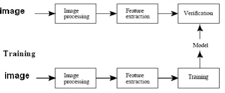 Fig 2.1: A schematic representation of the systems. 