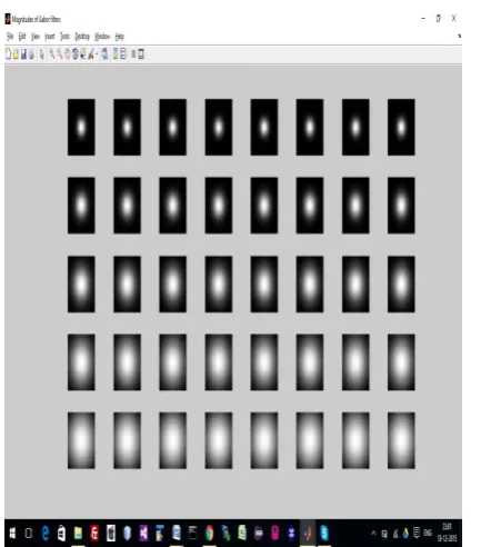 Figure 5.2:  GUI Showing the Control Panel Loaded  with Image and Parameters of the Filter Bank of Gabor  
