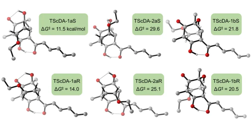 Figure S1. Structures and computed Gibbs free energy barriers for possible transition states associated with the addition of ethyl vinyl ether to sorbicillinol (3)