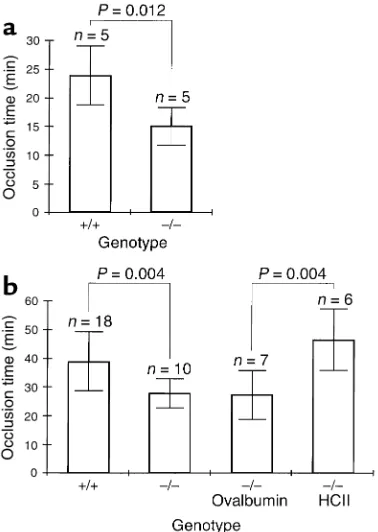 Figure 4Thrombotic occlusion of the carotidly, harvested after complete cessation ofblood flow