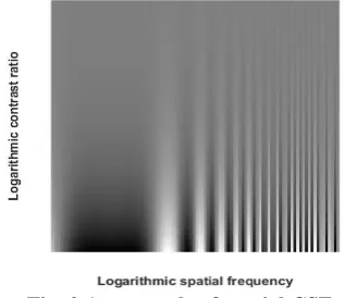 Fig. 2.An example of spatial CSF 